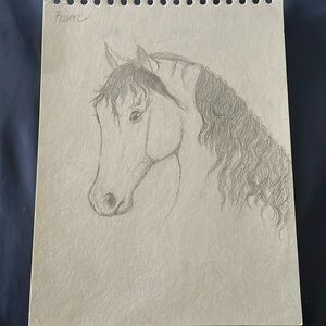 stippled horse drawing